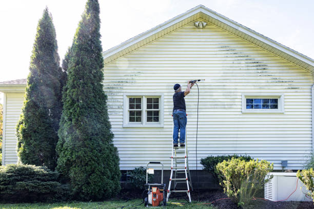 Boat and Dock Cleaning in Oak Ridge, NC